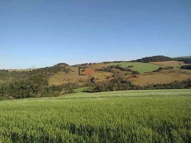 Sítio com 160m² 3 quartos e 2 banheiros, à venda, no bairro Área Rural de Londrina em Londrina