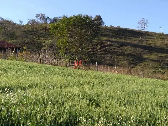 Sítio com 160m² 3 quartos e 2 banheiros, à venda, no bairro Área Rural de Londrina em Londrina