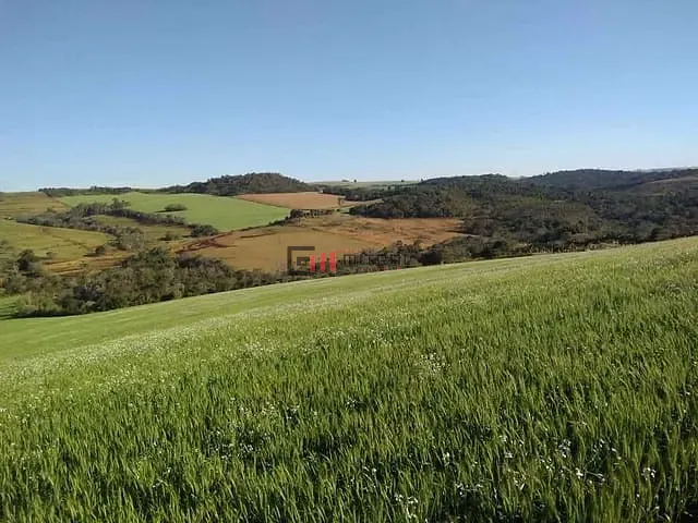 Sítio com 160m² 3 quartos e 2 banheiros, à venda, no bairro Área Rural de Londrina em Londrina
