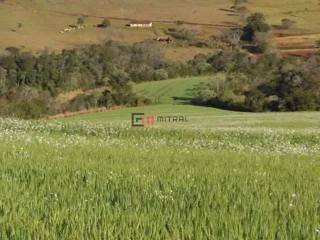 Sítio com 160m² 3 quartos e 2 banheiros, à venda, no bairro Área Rural de Londrina em Londrina