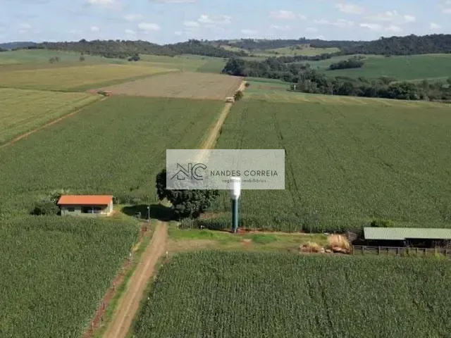Sítio com 1100m² 6 quartos e 4 banheiros, à venda, no bairro Setor 1 em Ibiporã
