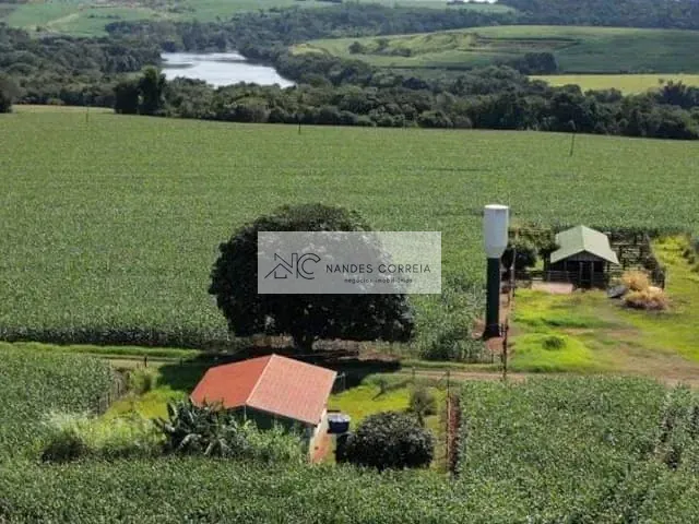 Sítio com 1100m² 6 quartos e 4 banheiros, à venda, no bairro Setor 1 em Ibiporã