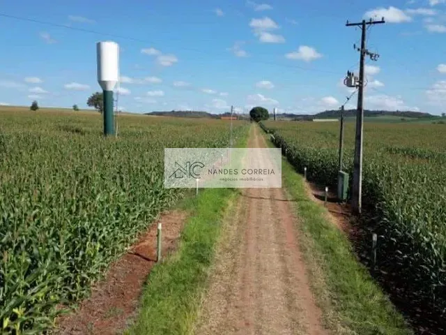 Sítio com 1100m² 6 quartos e 4 banheiros, à venda, no bairro Setor 1 em Ibiporã
