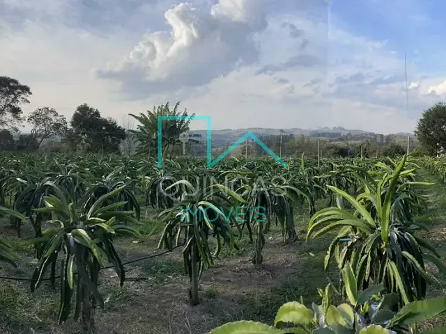 Sítio com 40000m² 3 quartos e 4 banheiros, à venda, no bairro Pedregulho em Itu