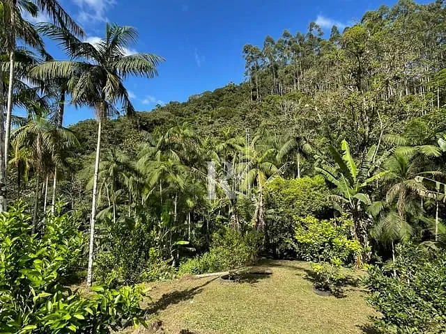 Sítio com 40000m² 3 quartos e 1 banheiro, à venda, no bairro Oliveira  em Tijucas