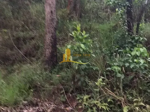 Terreno com 5000m², à venda, no bairro Centro em Biritiba-Mirim