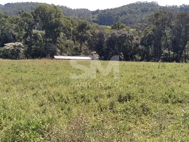Sítio com 32295m², à venda, no bairro Área Rural em Xaxim