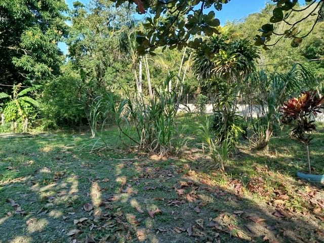 Sítio com 133m² 3 quartos e 1 banheiro, à venda, no bairro Fazenda Caxias em Seropédica