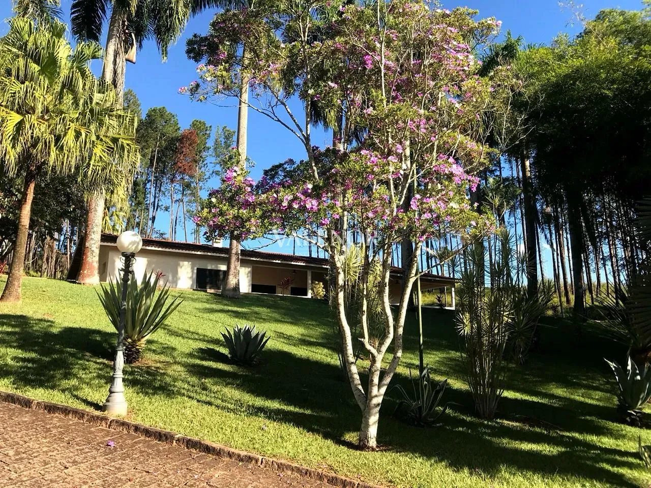 Fazenda, 60 hectares - Foto 13
