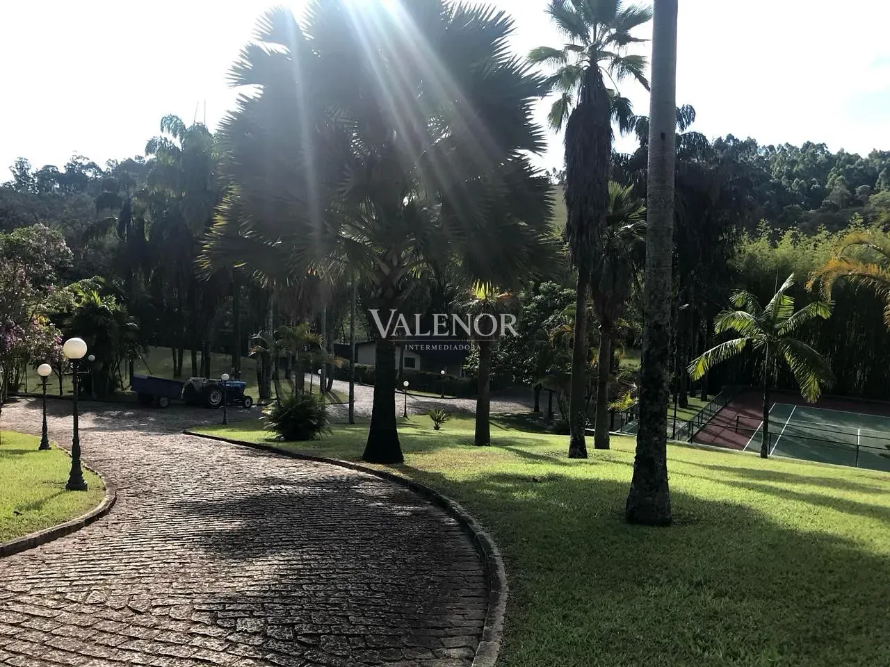 Fazenda, 60 hectares - Foto 17