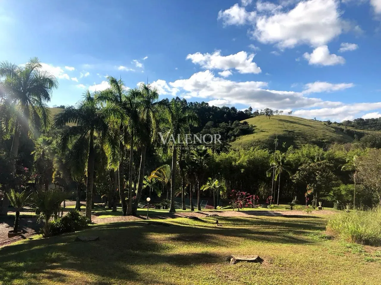Fazenda, 60 hectares - Foto 11