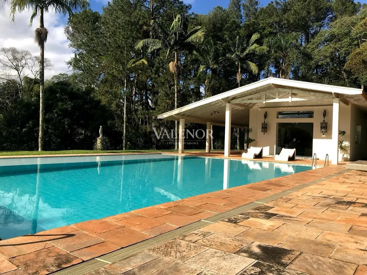 Fazenda, 60 hectares - Foto 9
