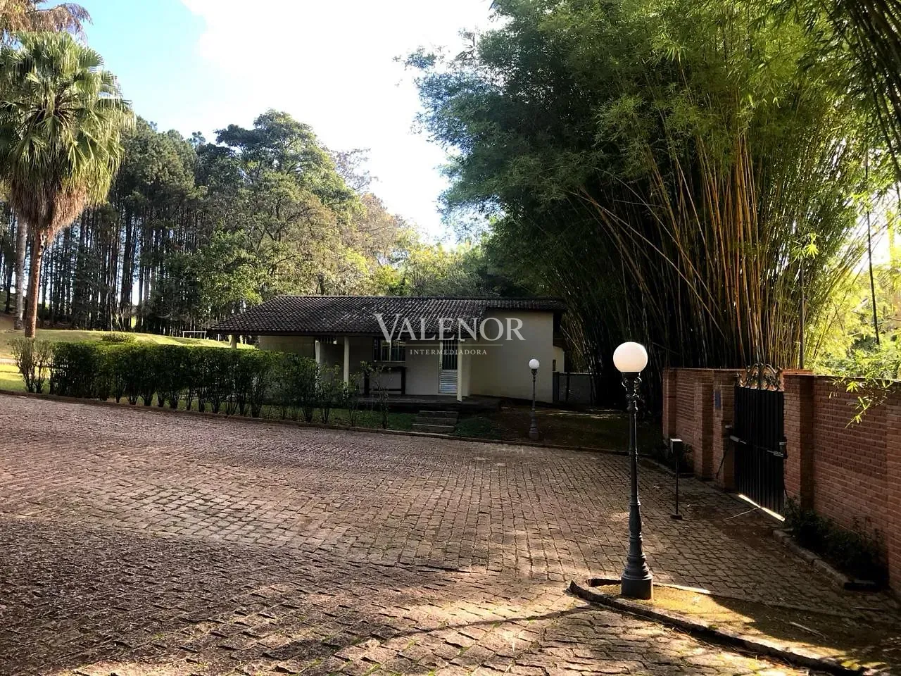 Fazenda, 60 hectares - Foto 10