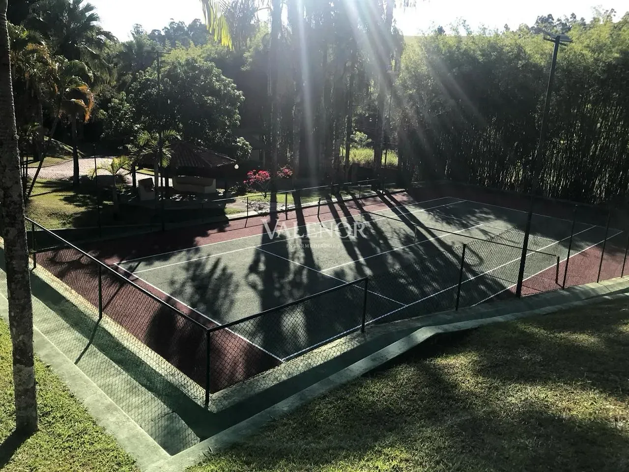 Fazenda, 60 hectares - Foto 21