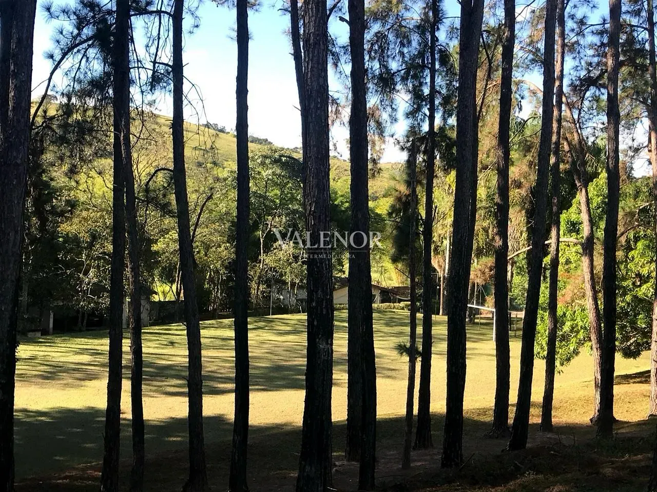 Fazenda, 60 hectares - Foto 14