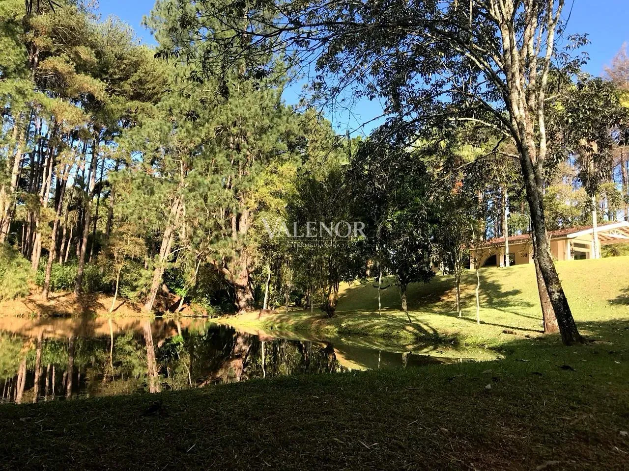 Fazenda, 60 hectares - Foto 7