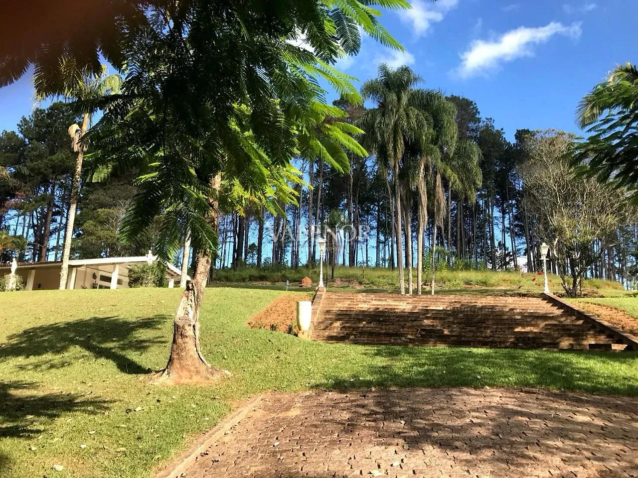 Fazenda, 60 hectares - Foto 8