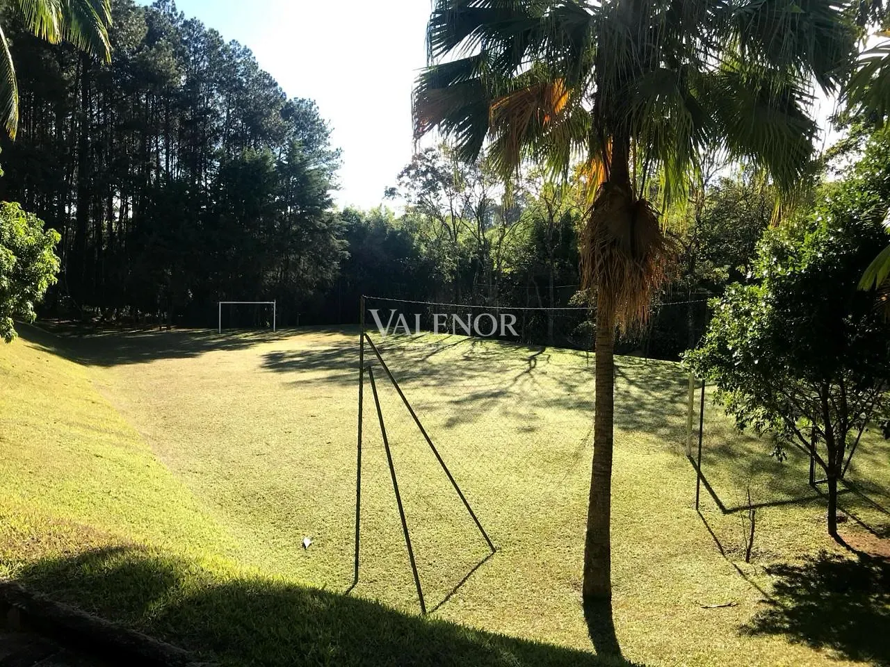 Fazenda, 60 hectares - Foto 15