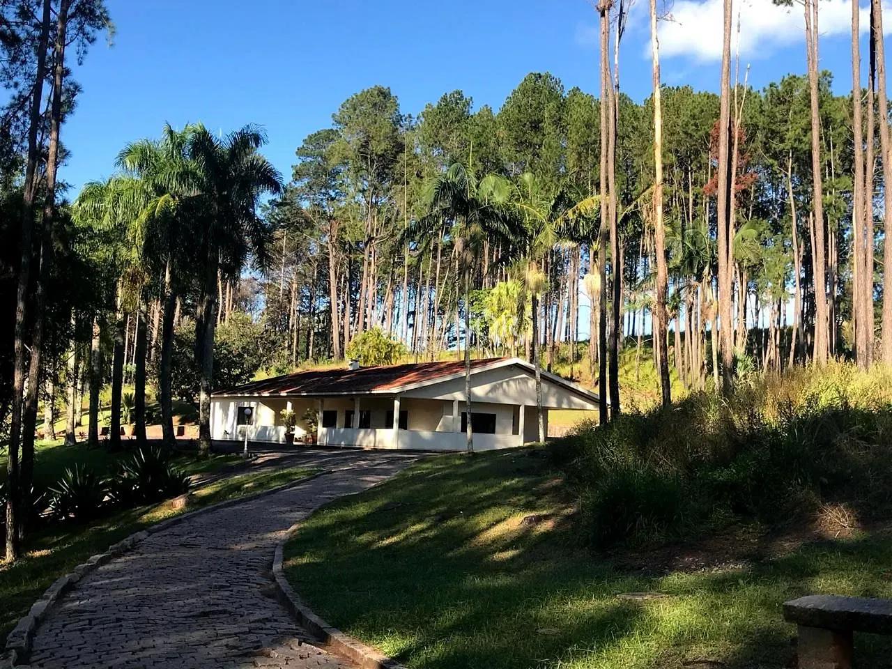 Fazenda, 60 hectares - Foto 12