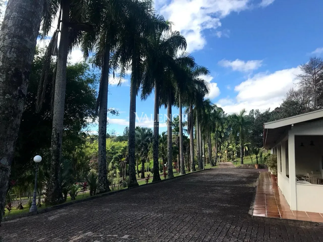 Fazenda, 60 hectares - Foto 19