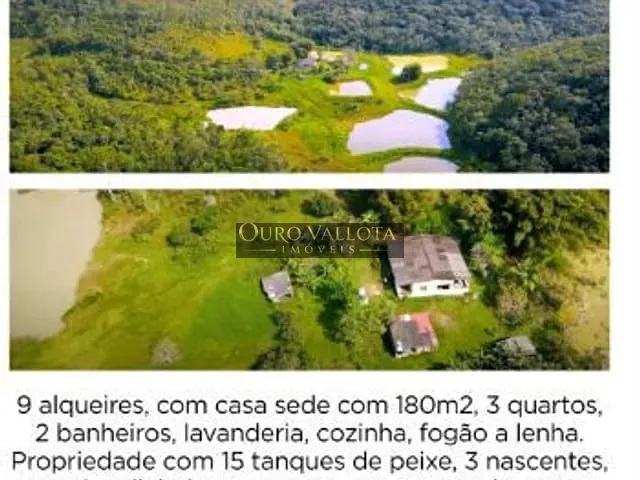 Sítio com 90000000m² 3 quartos e 2 banheiros, à venda, no bairro Ribeirão Branco das Palmeiras em Registro