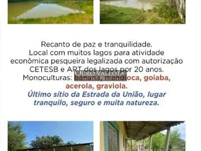 Sítio com 90000000m² 3 quartos e 2 banheiros, à venda, no bairro Ribeirão Branco das Palmeiras em Registro