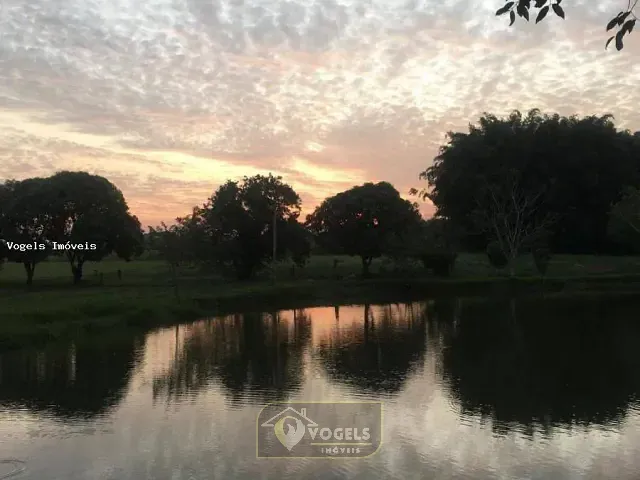 Sítio com 36000m² 4 quartos e 5 banheiros, à venda, no bairro Área Rural de Santo Antônio de Posse em Santo Antônio de Posse