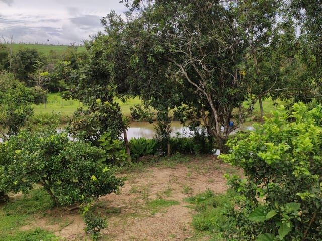 Sítio com 2m² 6 quartos e 3 banheiros, à venda, no bairro 1 em Abadiânia