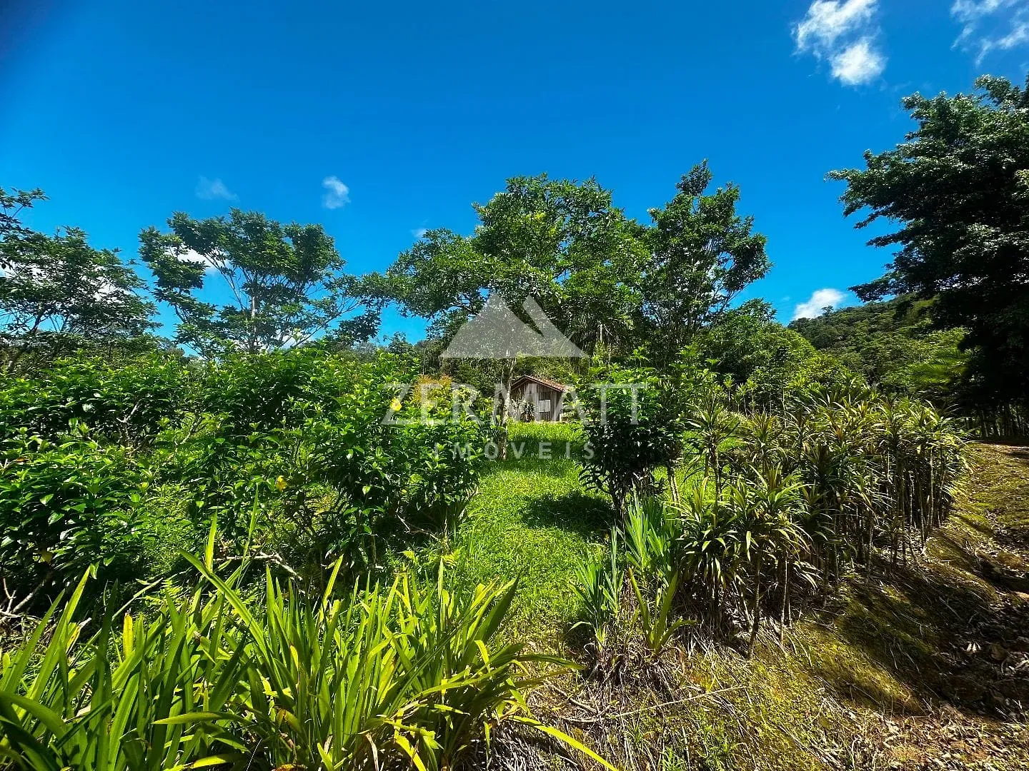 Sítio com 2 dormitórios à venda, 106566 m por R$ 850.000,00 - Belchior Alto - Gaspar/SC — foto 3