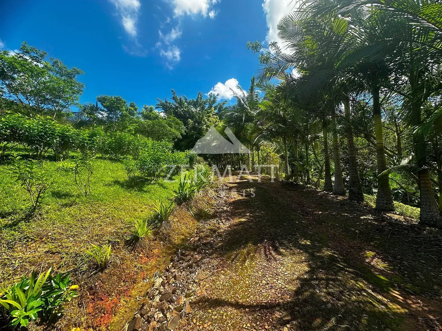 Sítio com 2 dormitórios à venda, 106566 m por R$ 850.000,00 - Belchior Alto - Gaspar/SC — foto 5