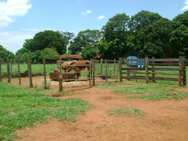 Foto do Sítio - Sítio rural à venda, Residencial 2000, Uberaba. | ZUCATO IMOBILIARIA LTDA