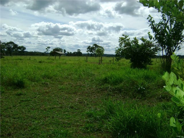 Foto do Sítio - Sítio rural à venda, Residencial 2000, Uberaba. | ZUCATO IMOBILIARIA LTDA