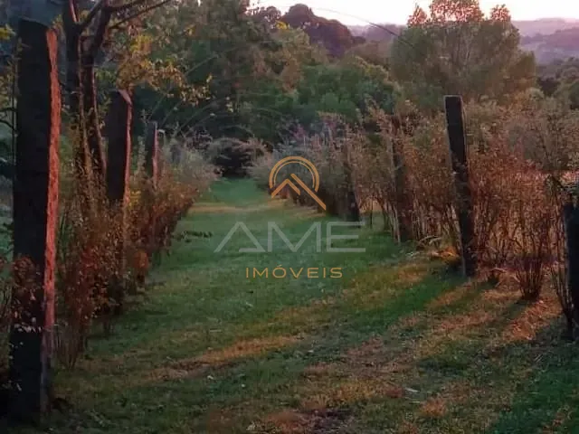 Sítio com 55000m² 2 quartos e 2 banheiros, à venda, no bairro Centro em Pelotas