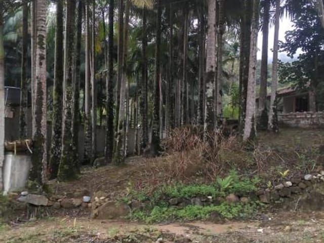 Foto do Sítio - Sítio à venda 2 Quartos, 1032M², galera, Canelinha - SC | SITIO BAIRRO GALERA | ATO CONSULTORIA IMOBILIARIA