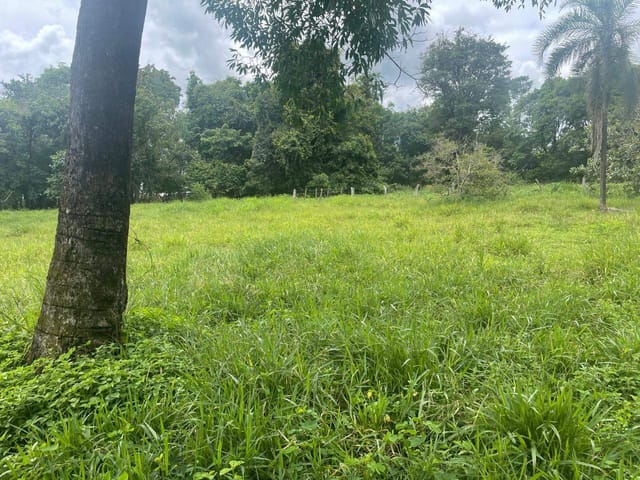 Sítio à venda, Zona rural, Bela Vista de Goiás, GO