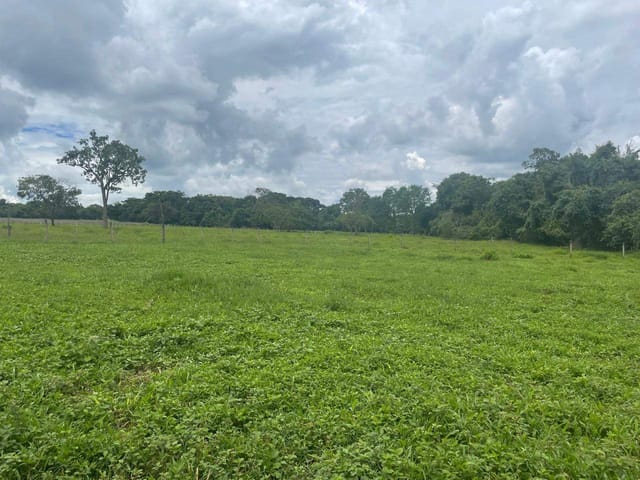 Sítio à venda, Zona rural, Bela Vista de Goiás, GO