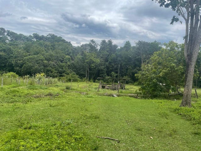 Sítio à venda, Zona rural, Bela Vista de Goiás, GO