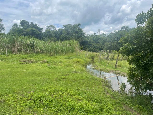 Sítio à venda, Zona rural, Bela Vista de Goiás, GO