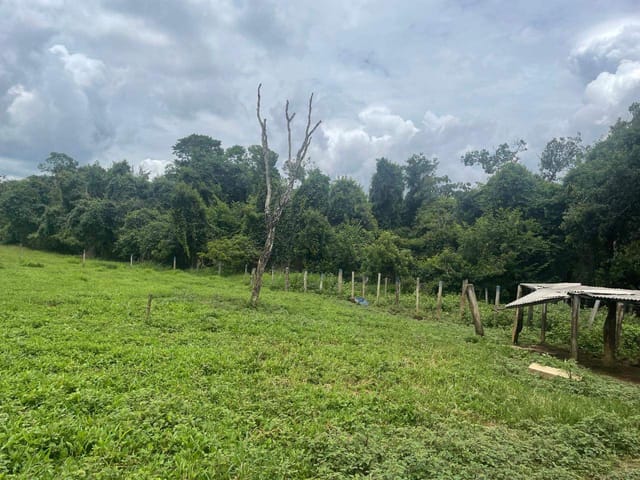 Sítio à venda, Zona rural, Bela Vista de Goiás, GO