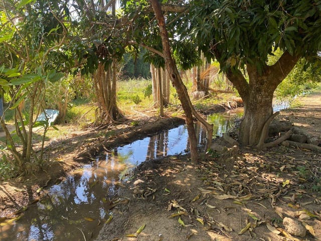 Sítio à venda, Zona rural, Bela Vista de Goiás, GO