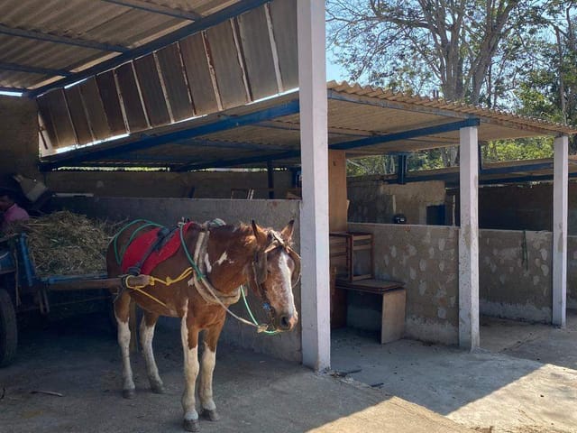 Sítio à venda, Zona rural, Bela Vista de Goiás, GO