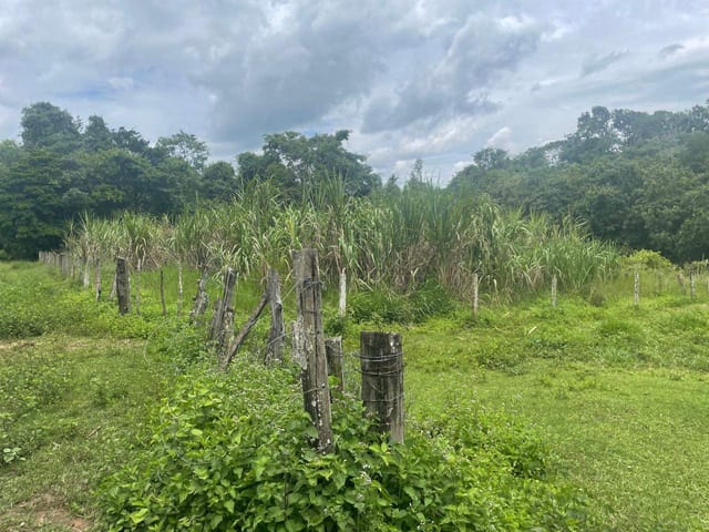 Sítio à venda, Zona rural, Bela Vista de Goiás, GO