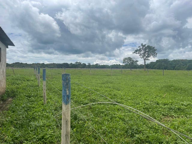 Sítio à venda, Zona rural, Bela Vista de Goiás, GO