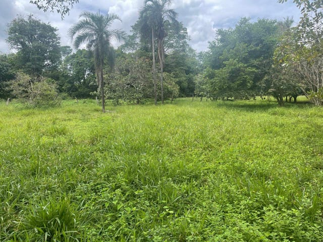 Sítio à venda, Zona rural, Bela Vista de Goiás, GO