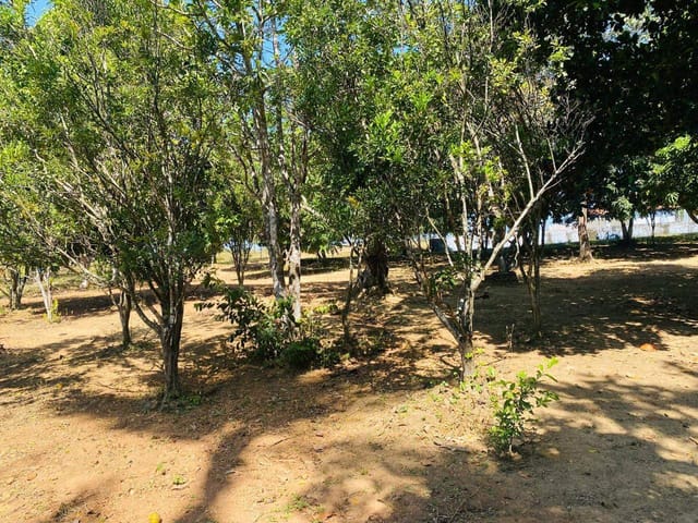 Sítio à venda, Zona rural, Bela Vista de Goiás, GO