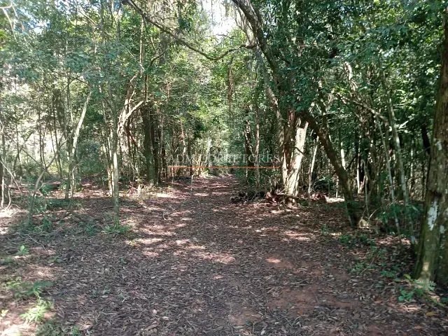 Sítio com 60m² 2 quartos e 1 banheiro, à venda, no bairro Morungava III (Morungava) em Gravataí