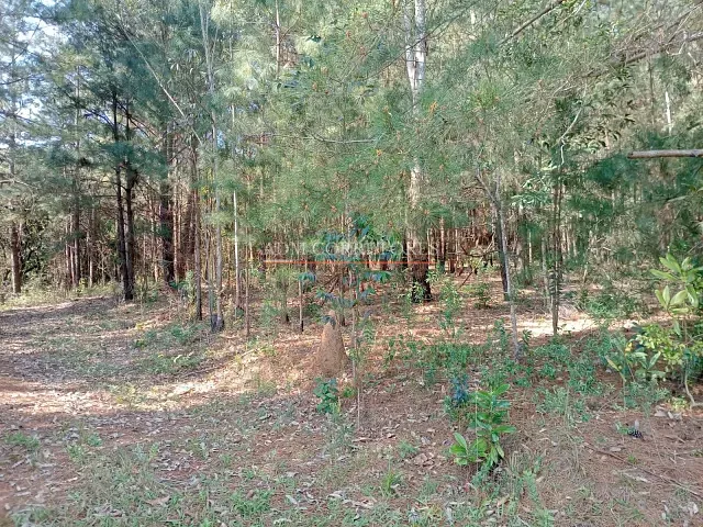 Sítio com 60m² 2 quartos e 1 banheiro, à venda, no bairro Morungava III (Morungava) em Gravataí