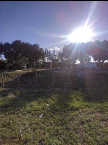 Sítio com 11642m² 6 quartos e 6 banheiros, à venda, no bairro Perigoso  em São João da Barra
