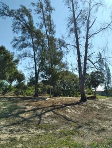 Sítio com 11642m² 6 quartos e 6 banheiros, à venda, no bairro Perigoso  em São João da Barra