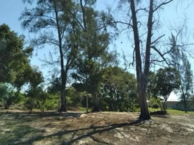 Sítio com 11642m² 6 quartos e 6 banheiros, à venda, no bairro Perigoso  em São João da Barra
